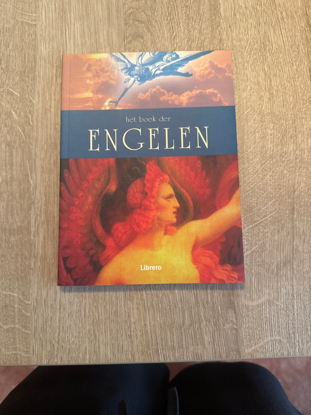 Het Boek der Engelen - Spiritualiteit en Engelen, Ophalen of Verzenden, Gelezen, Spiritualiteit algemeen, Achtergrond en Informatie
