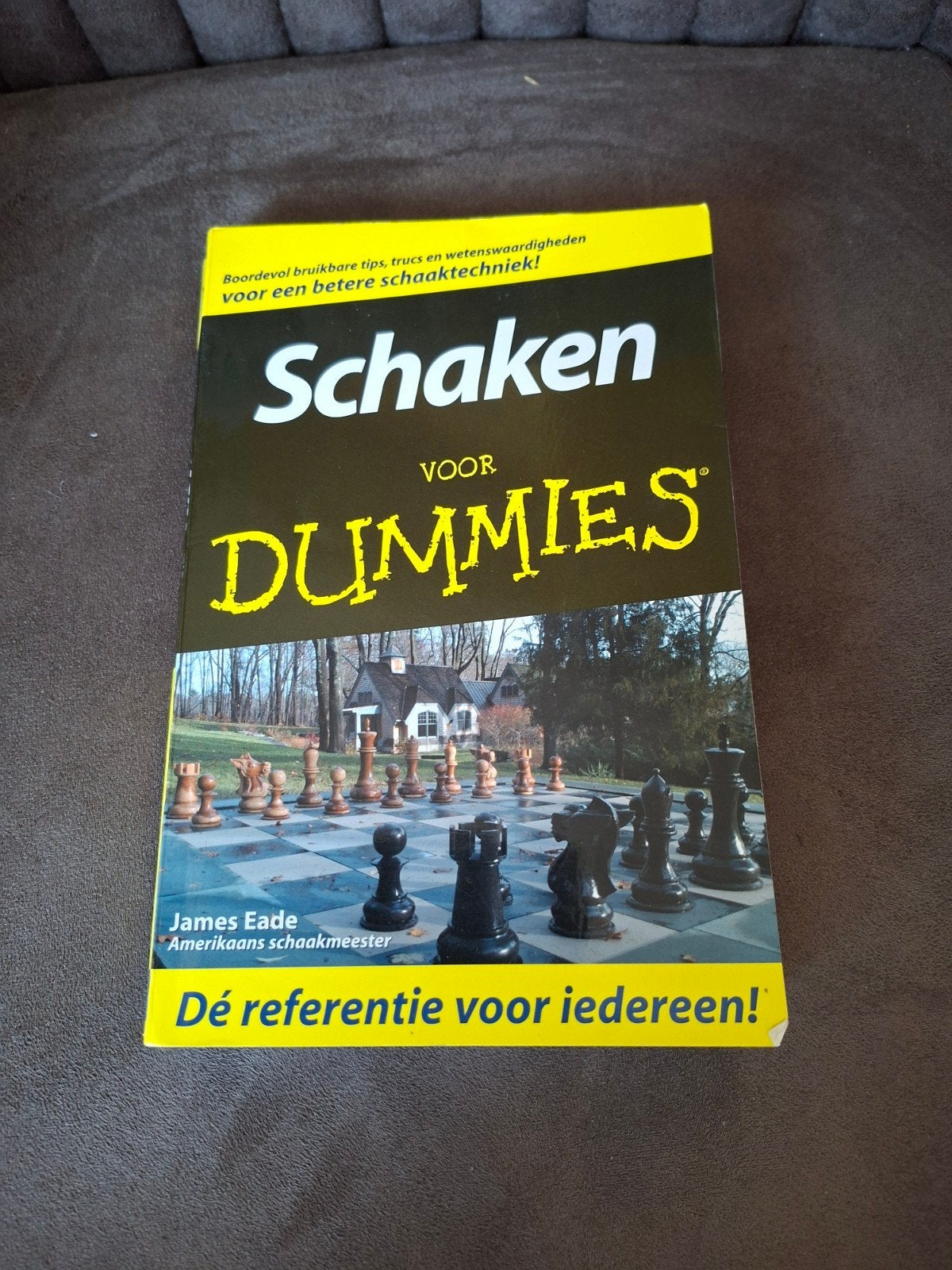 Schaken voor Dummies - Leer schaken van A tot Z, Ophalen of Verzenden, Zo goed als nieuw, Overige niveaus, James Eade
