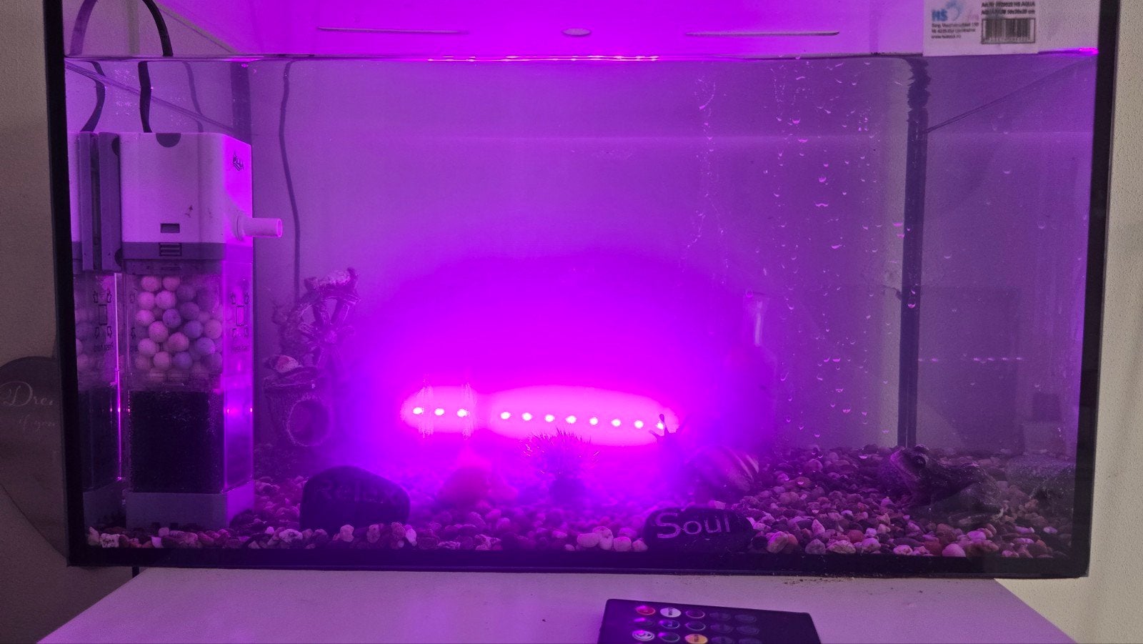 kant en klaar aquarium 40 liter inclusief toebehoren, Ophalen, Inclusief toebehoren, Nieuw, Gevuld zoetwateraquarium