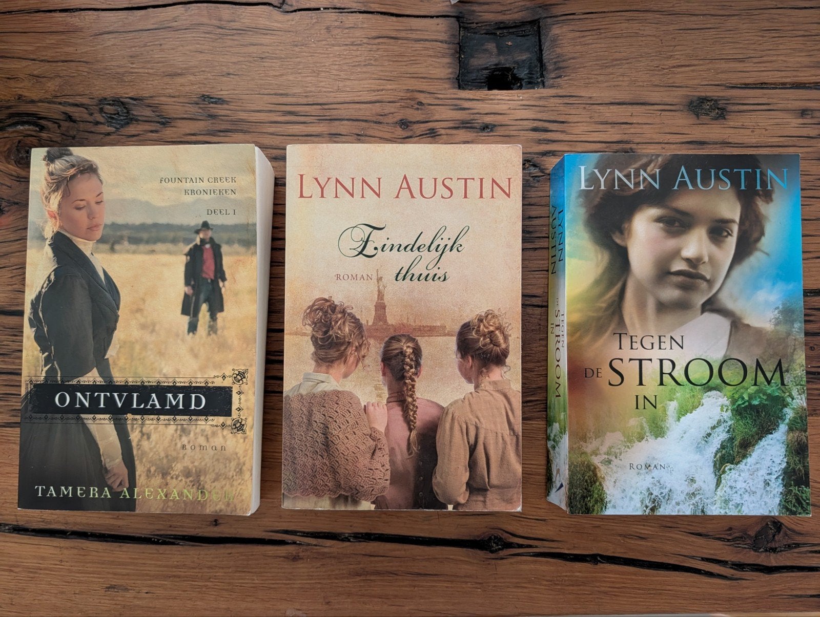 Lynn Austin Boeken: Tegen de Stroom In, Eindelijk Thuis, Ophalen of Verzenden, Gelezen, Lynn Austin