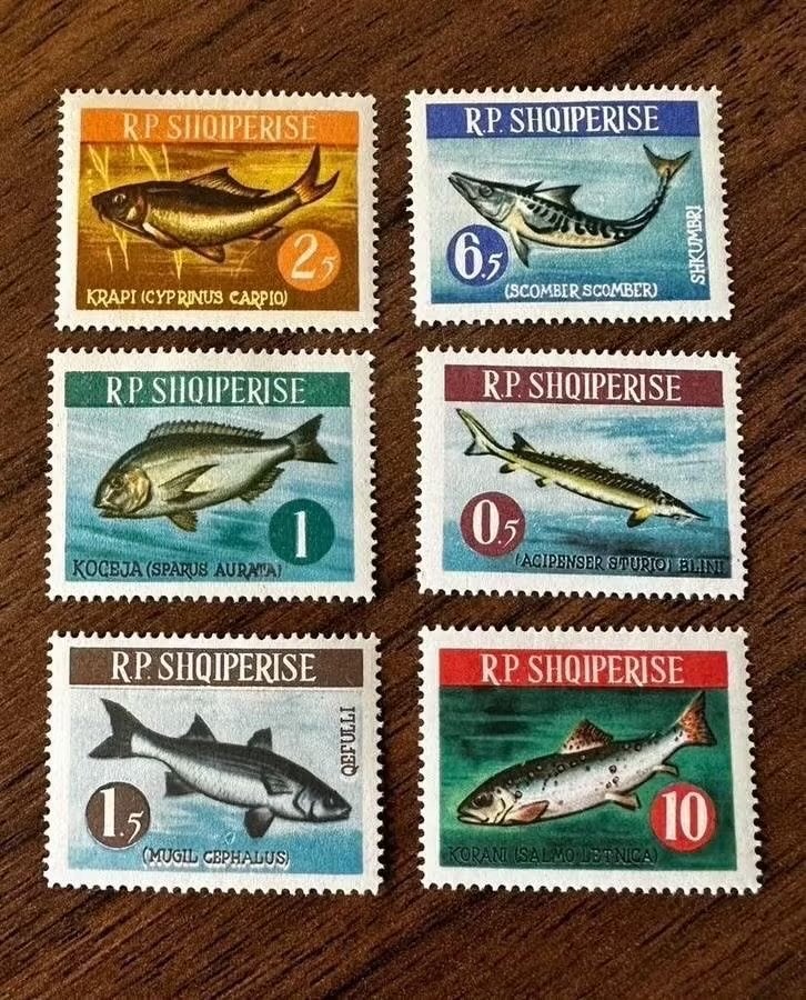 Albanië 1964 Vissen postzegels - ongebruikt, Ophalen of Verzenden