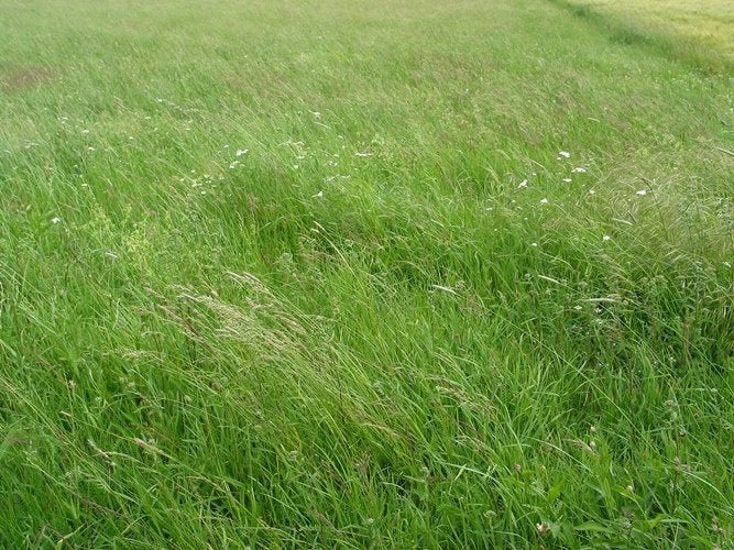 Stalling gezocht in Groningen of Drenthe, Stalling