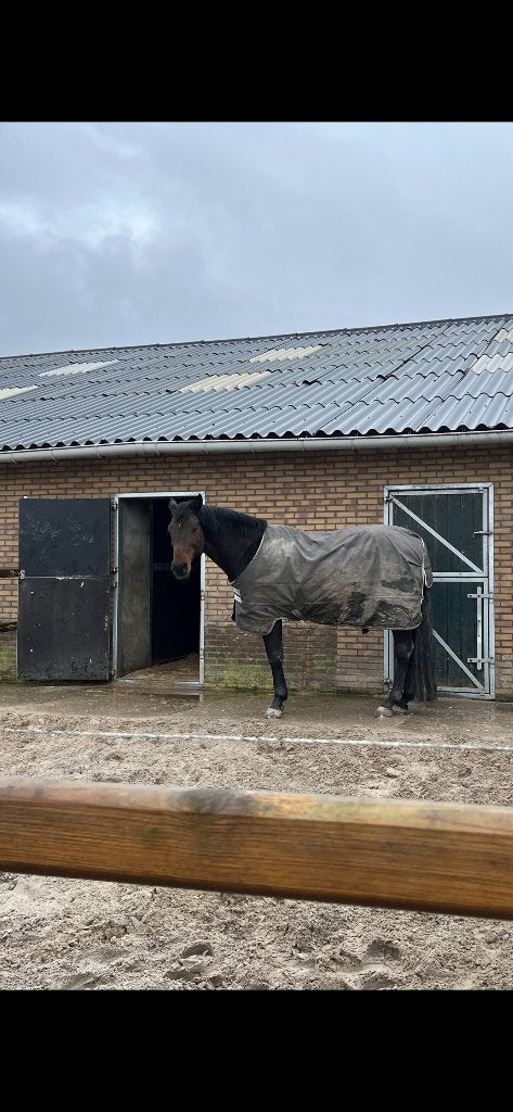 Buiten staldeur incl kozijn, Toebehoren, 1 paard of pony
