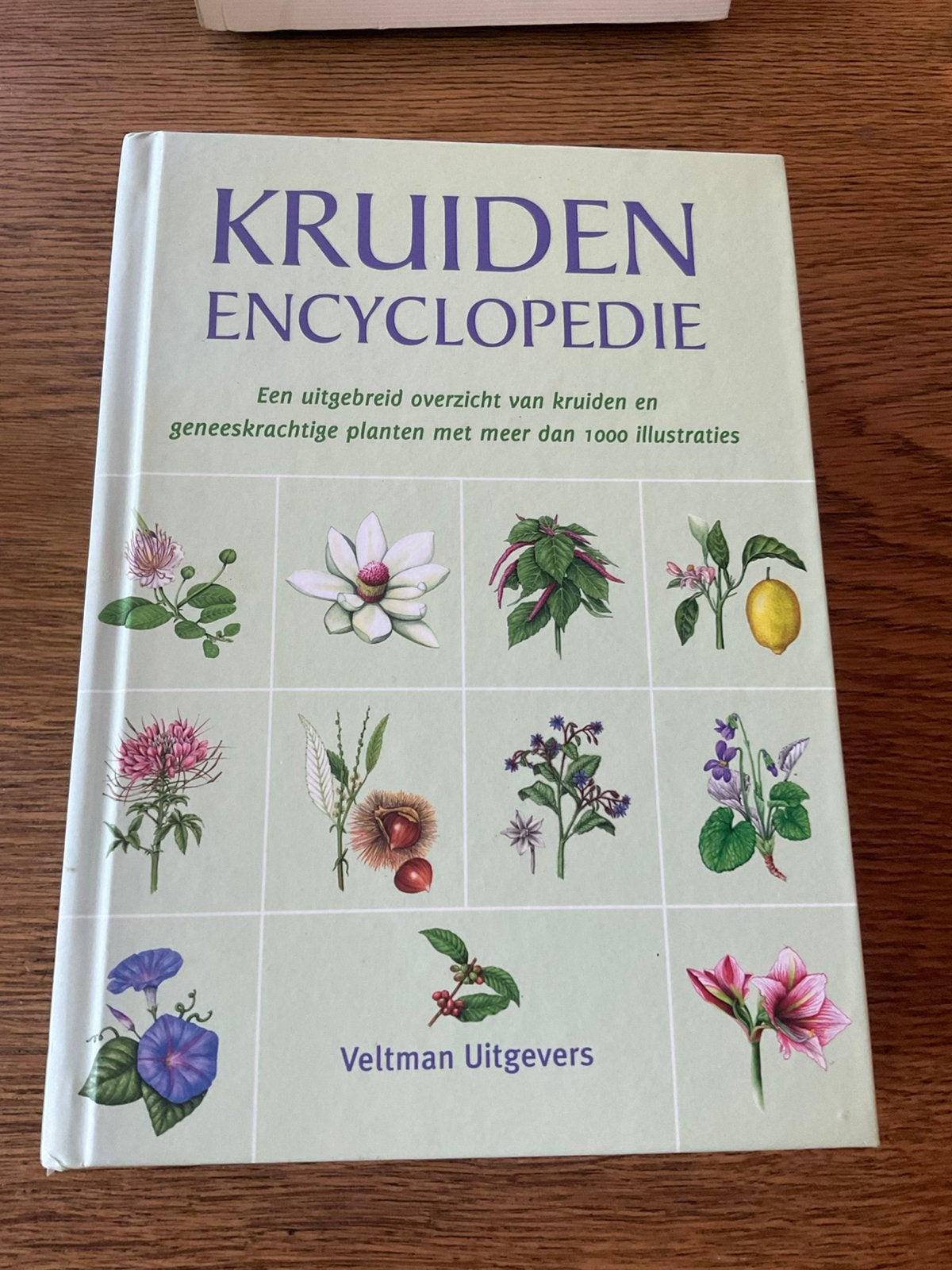 Hans W. Kothe - De kruidenencyclopedie, Kruiden en Alternatief, Hans W. Kothe, Ophalen of Verzenden, Zo goed als nieuw