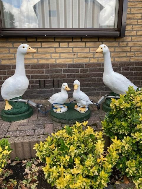 Tuinbeelden, Tuin en Terras, Tuinbeelden, Ophalen, Gebruikt, Beton, Dierenbeeld