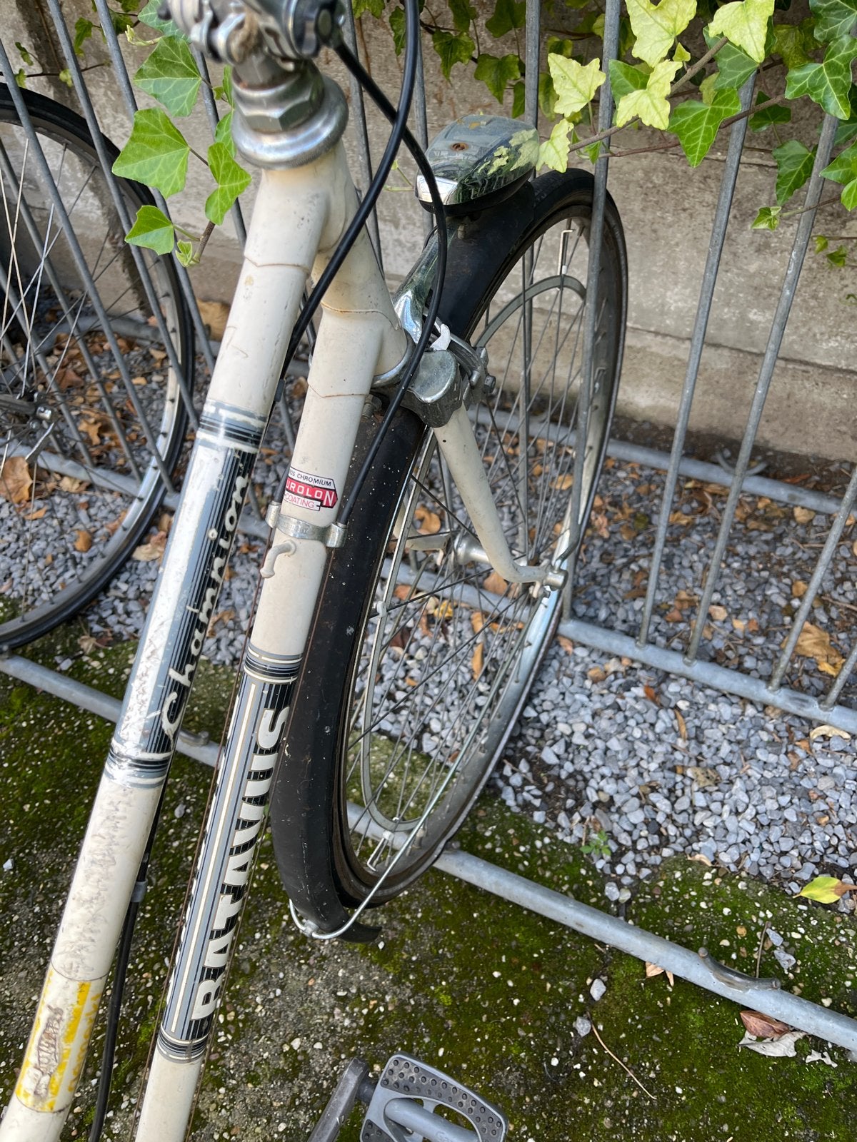 Vintage Batavus Champion Damesfiets - Klassieke Stijl, Ophalen, Velgrem, Versnellingen, Batavus