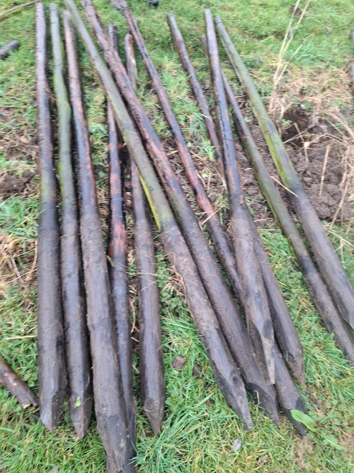 Gecreosoteerde palen, kunnen nog een ronde mee, Ophalen of Verzenden, Gebruikt, Minder dan 180 cm, Palen