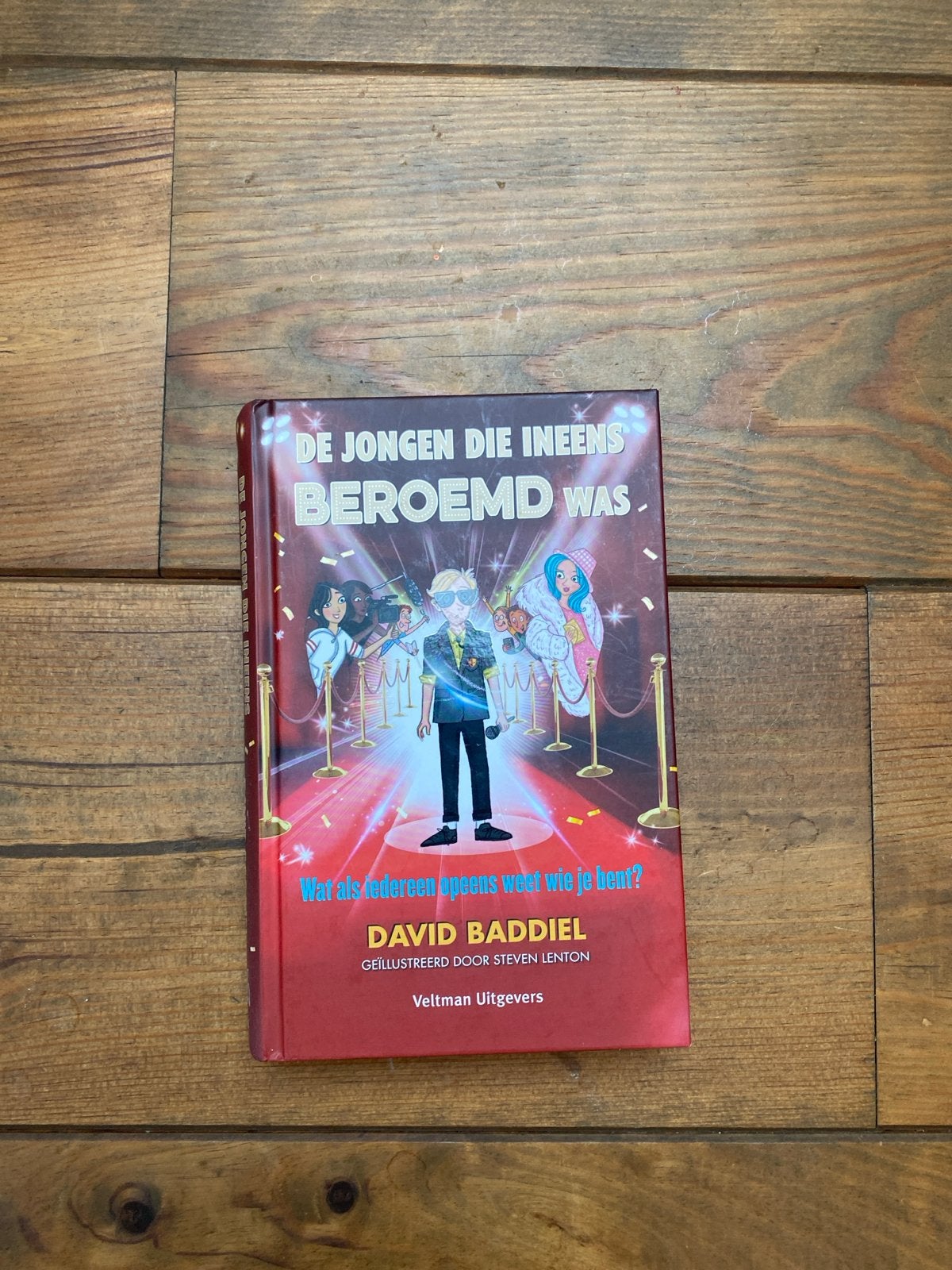 De Jongen Die Ineens Beroemd Was - David Baddiel, Ophalen of Verzenden, Zo goed als nieuw, Fictie