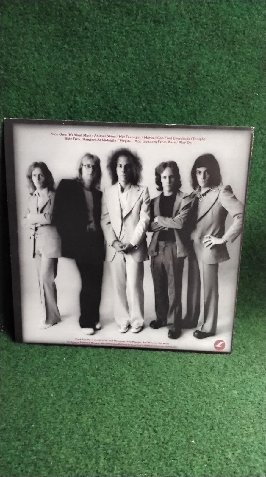 CRACK THE  SKY - ANIMAL NOTES -, Ophalen of Verzenden, Gebruikt, 12 inch, Poprock