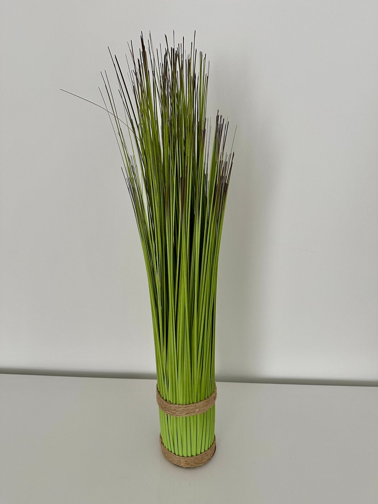 Kunst grasplant, Huis en Inrichting, Ophalen