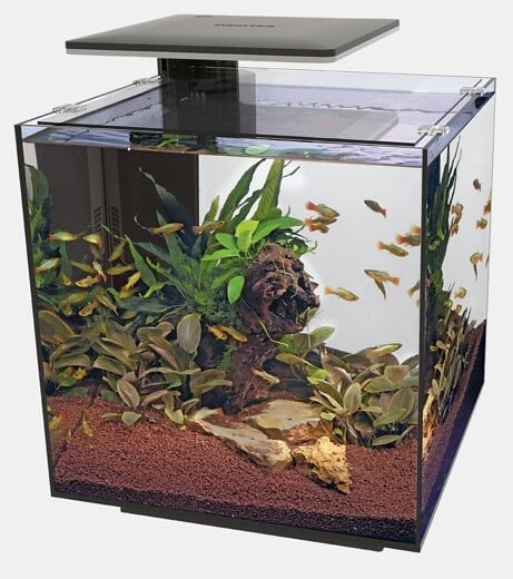 Superfish qubiq pro 60 compleet, Dieren en Toebehoren, Vissen | Aquaria en Toebehoren, Zo goed als nieuw, Leeg aquarium, Inclusief deksel