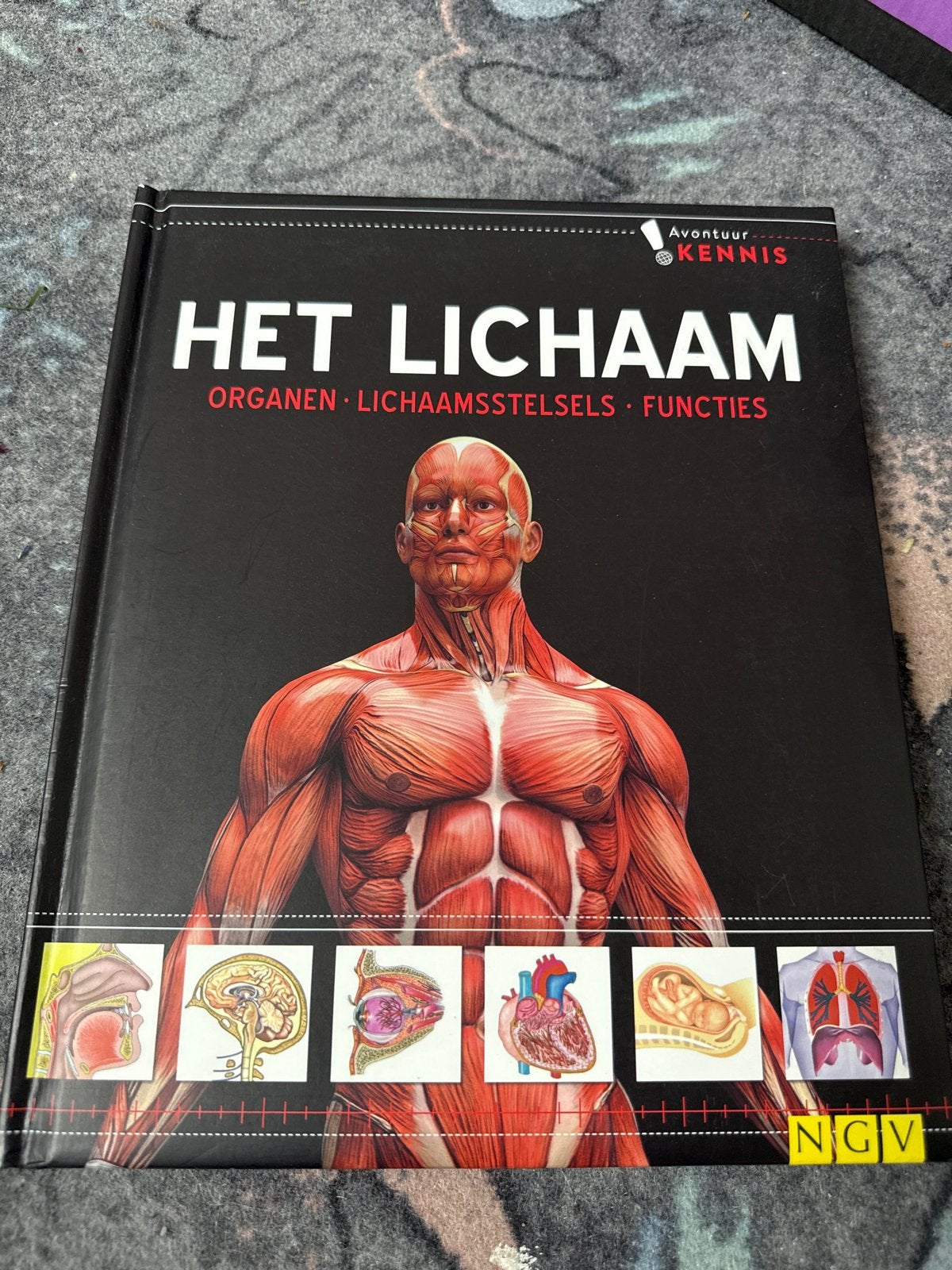 Het Lichaam: Organen, Lichaamsstelsels, Functies, Boeken, Kinderboeken | Jeugd | onder 10 jaar, Ophalen of Verzenden, Nieuw, Non-fictie
