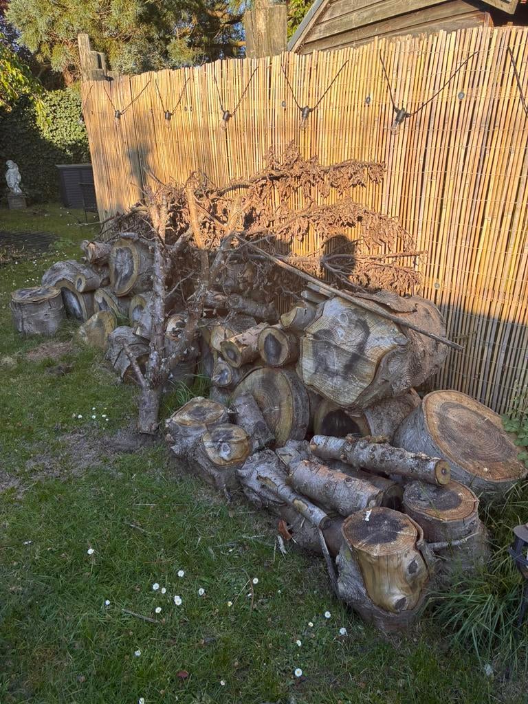 Boomstronken, 3 tot 6 m³, Ophalen, Overige houtsoorten, Stammen