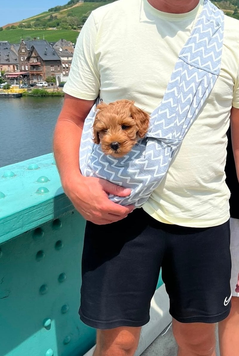 Draagtas / Draagzak voor pup of kleine hond – zgan, Ophalen of Verzenden, Zo goed als nieuw