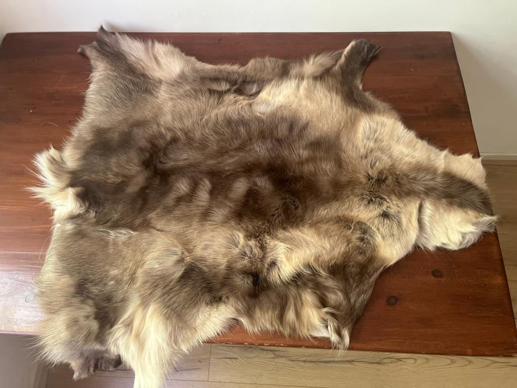 Prachtige Rendierhuid - Natuurlijke Decoratie, 100 tot 150 cm, Bruin, Zo goed als nieuw, Overige vormen