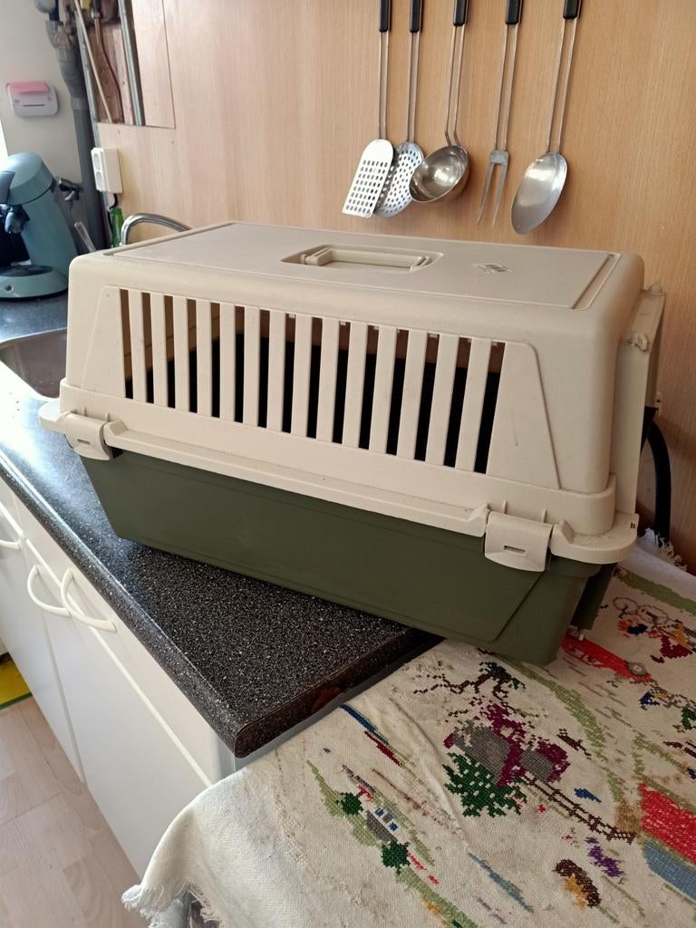 Dieren poes vervoer box, Ophalen of Verzenden, Nieuw