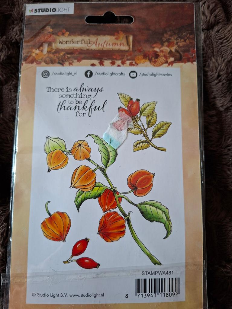 Studio Light Clearstamps Wonderful Autumn (2 stuks), Hobby en Vrije tijd, Stempelen, Ophalen of Verzenden, Nieuw, Clearstamp