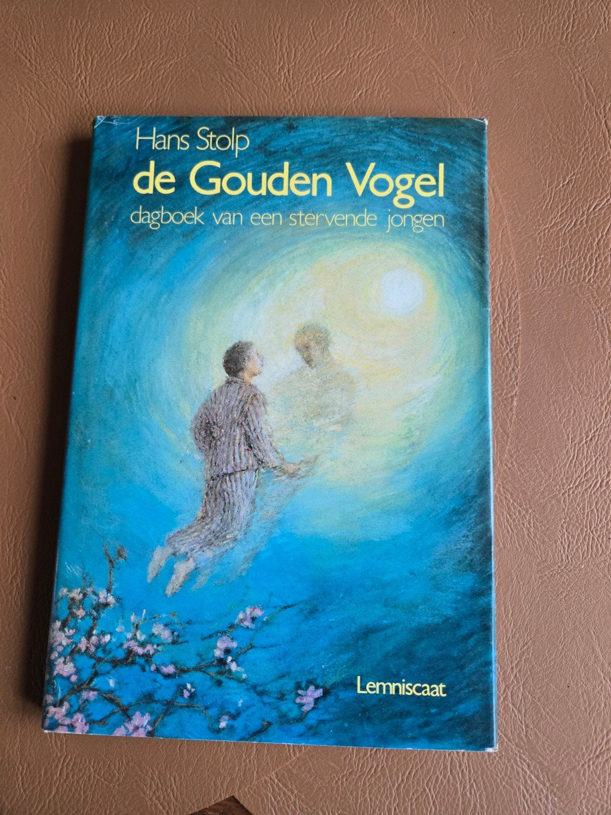 De Gouden Vogel - Dagboek van een stervende jongen, Ophalen of Verzenden, Gelezen, Hans Stolp, Nederland