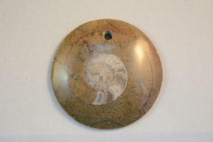 Ammoniet Fossiel hanger (nr. 25), Nieuw, Ophalen of Verzenden, Nvt, Nvt