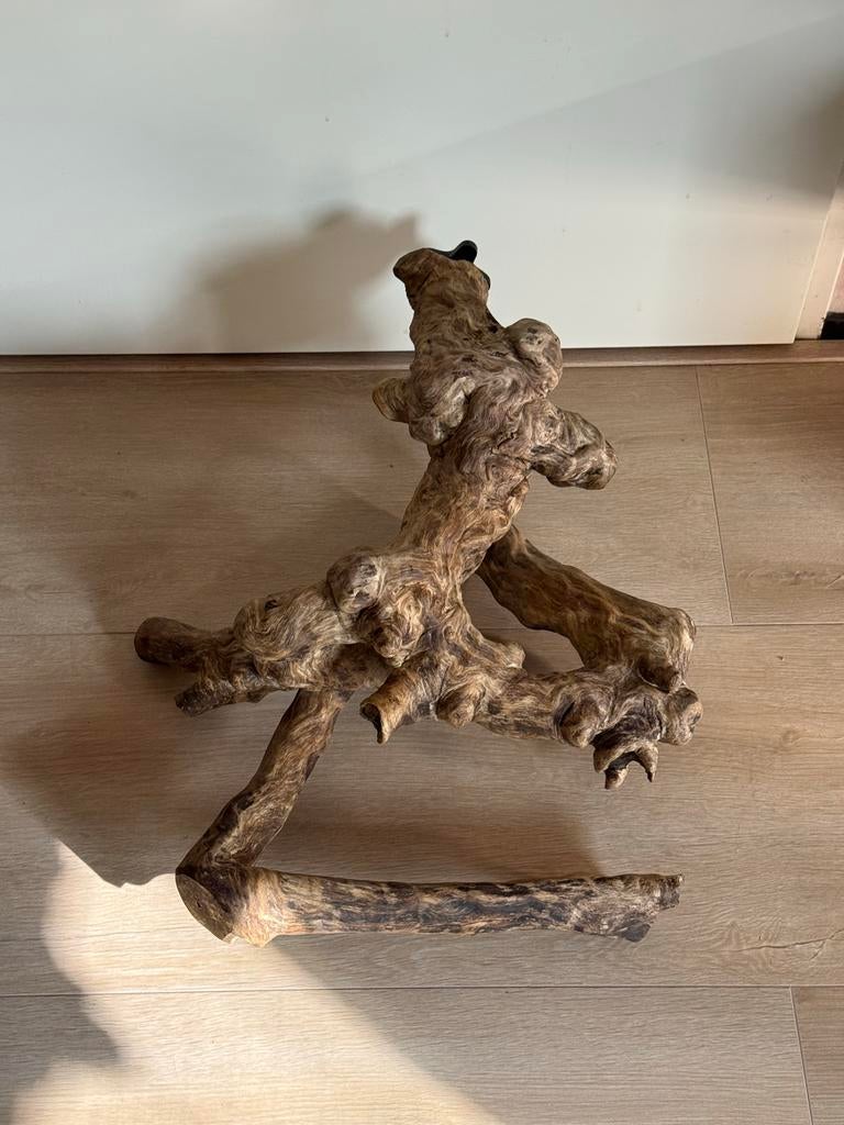 Dikke Java Boom Stam 60 cm – Papegaaien Tak Ara Kaketoe, Dieren en Toebehoren, Meerdere dieren, Papegaai