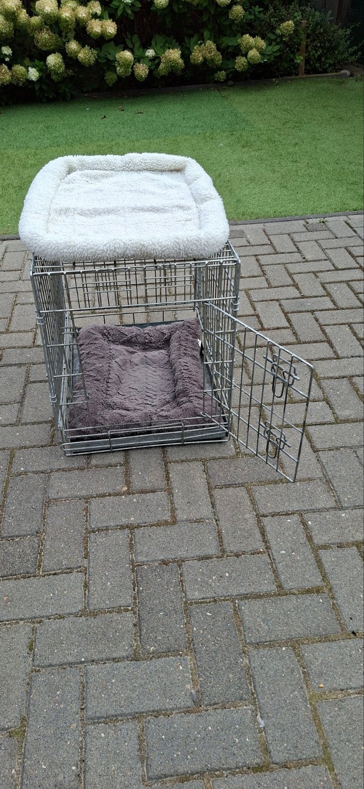 hondenbens, Dieren en Toebehoren, Ophalen, Gebruikt