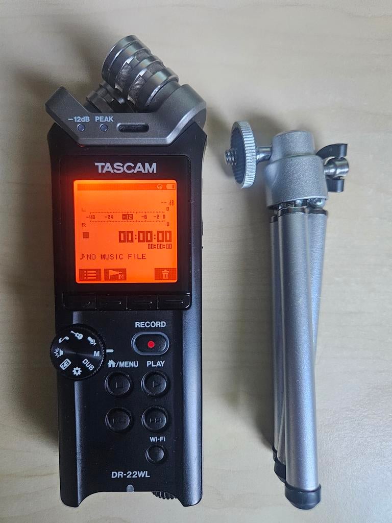 Tascam DR-22WL, Ophalen, Audio
