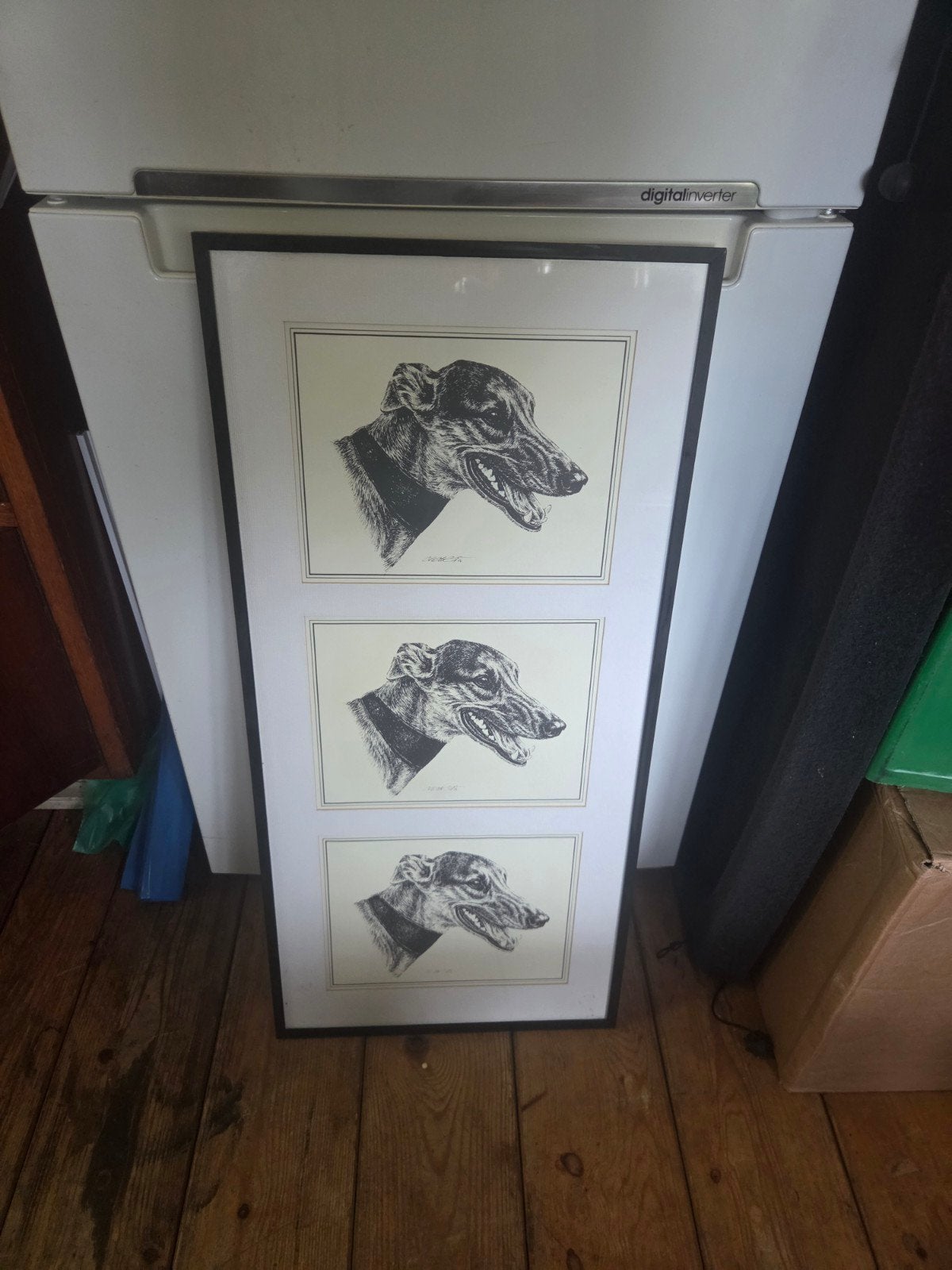 Ingelijste Greyhound Honden Tekeningen - Set van 3