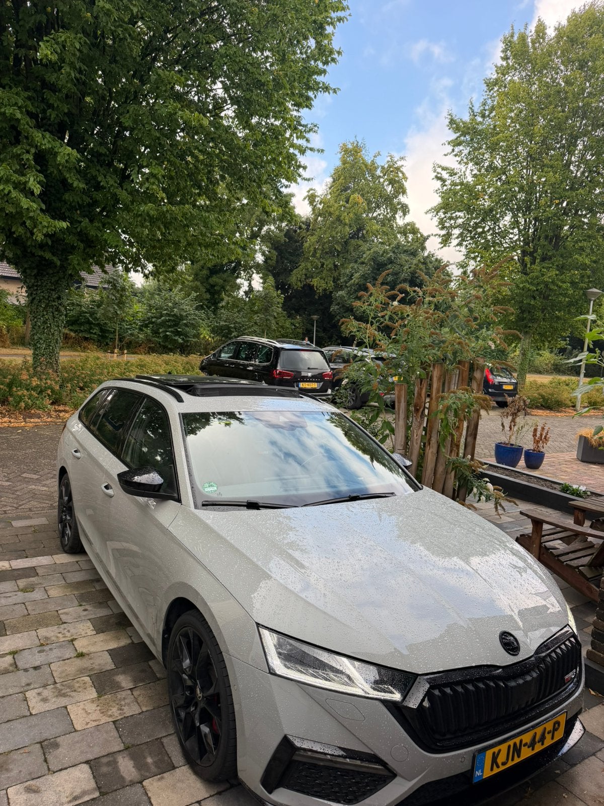 Skoda Octavia RS 2.0 TSI Greentech 245pk 2021 Grijs, Auto's, Skoda, 4 cilinders, 1984 cc, Stationwagon, Particulier