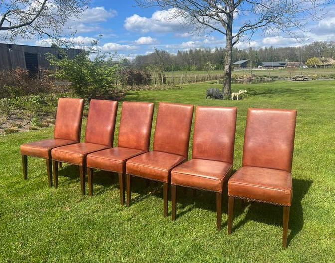 6 schapenleren eetkamerstoelen, Ophalen, Gebruikt, Bruin, Leer