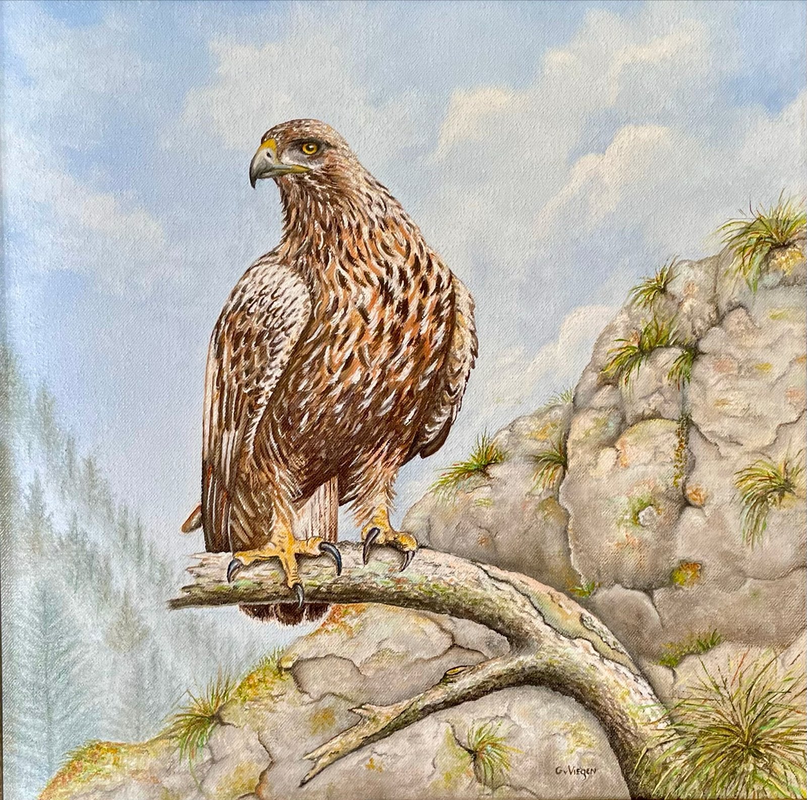 Majestueuze Adelaar op Rots - Handgeschilderd Schilderij, Doek, Realistisch, Dieren, Ophalen of Verzenden