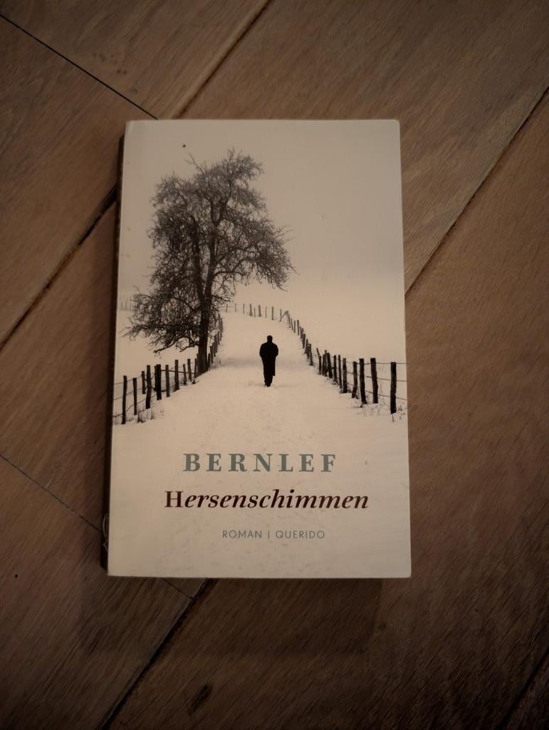 Bernlef - Hersenschimmen, Boeken, Ophalen