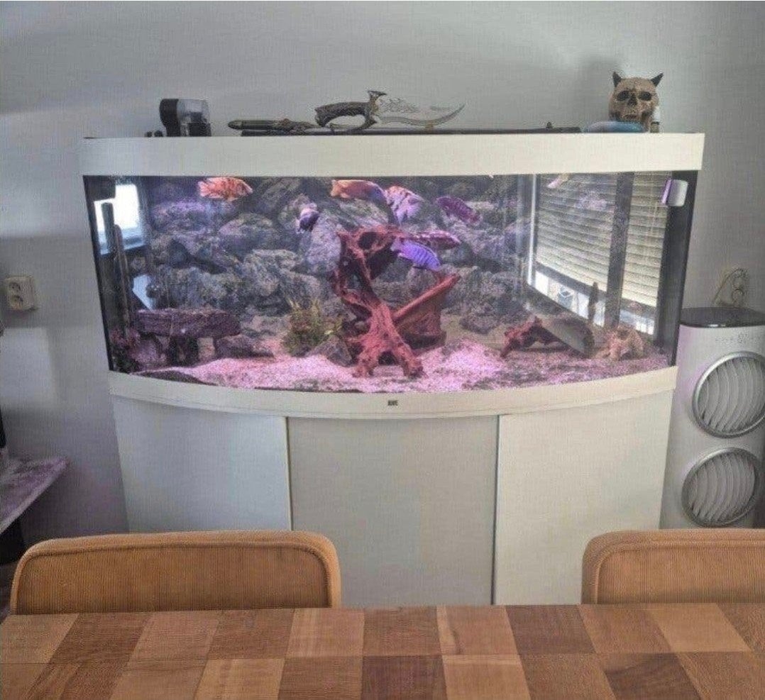 aquarium 150 cm zie adv, Ophalen, Leeg aquarium
