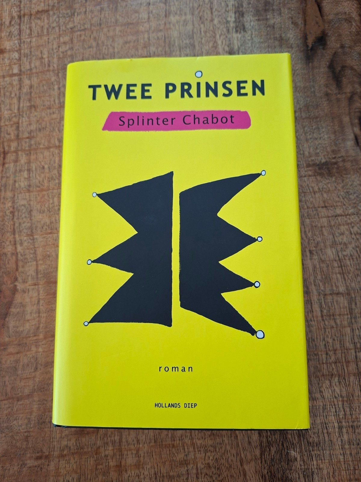 Twee Prinsen - Splinter Chabot (Roman), Boeken, Ophalen of Verzenden, Zo goed als nieuw, Splinter Chabot, Nederland