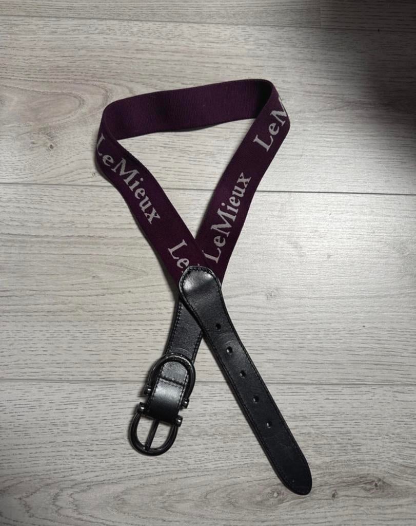 LeMieux Riem - Paars/Zwart, Ophalen of Verzenden, Zo goed als nieuw, Dressuur, Onderkleding