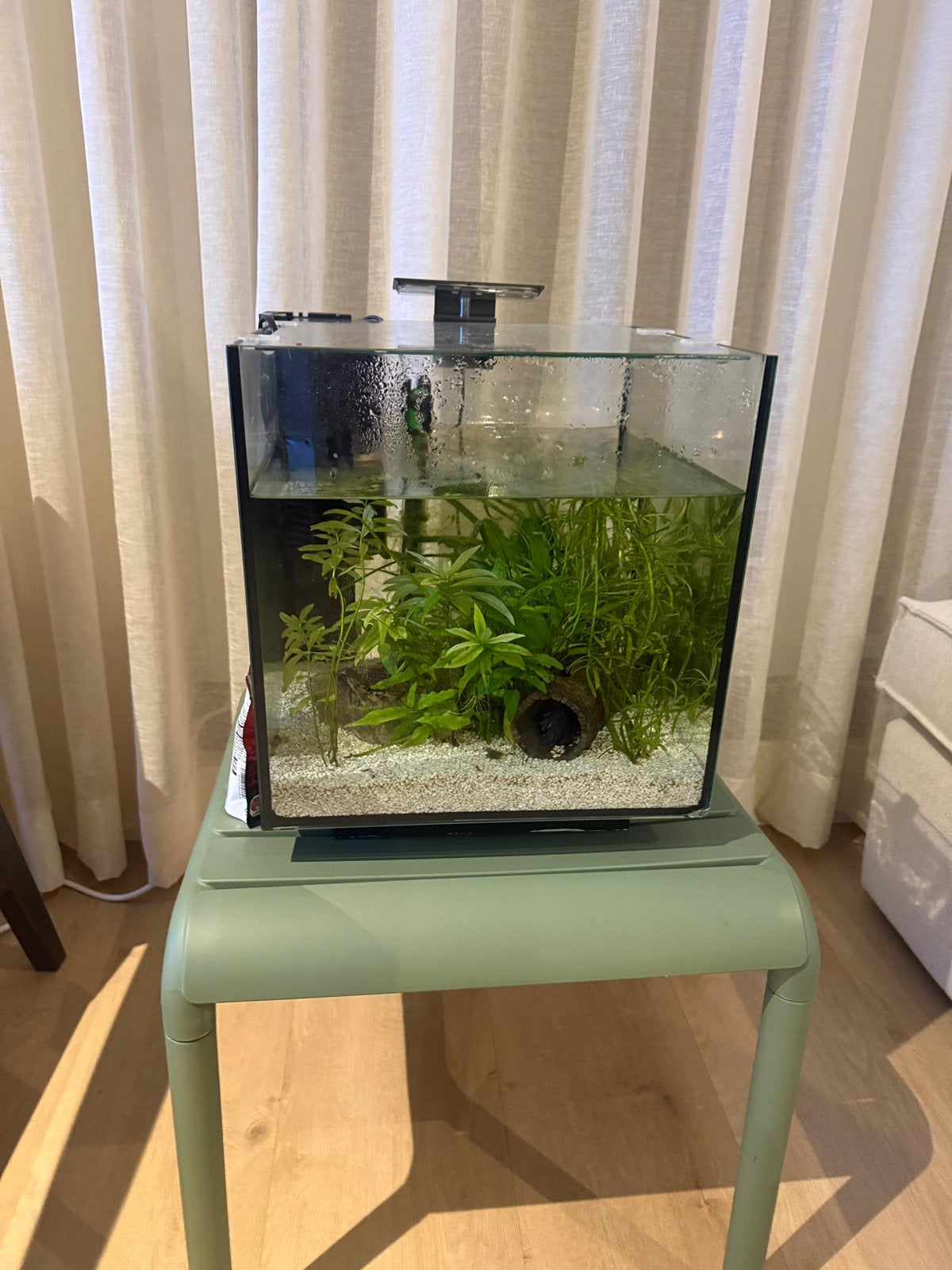 Aquarium, Ophalen, Zo goed als nieuw, Leeg aquarium