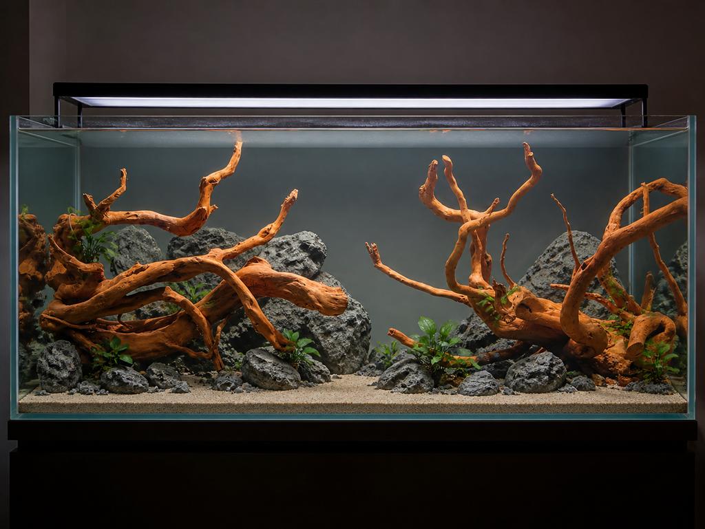 2x Spiderwood XXL Aquascape Set / Kienhout, Hout Decoratie, Ophalen of Verzenden, Zo goed als nieuw, Plant(en), Steen of Hout