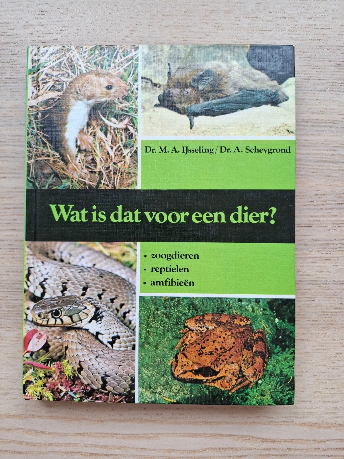Dr. M. IJsseling en Scheygrond - Wat is dat voor een dier?, Boeken, Ophalen of Verzenden, Zo goed als nieuw, Reptielen of Amfibieën