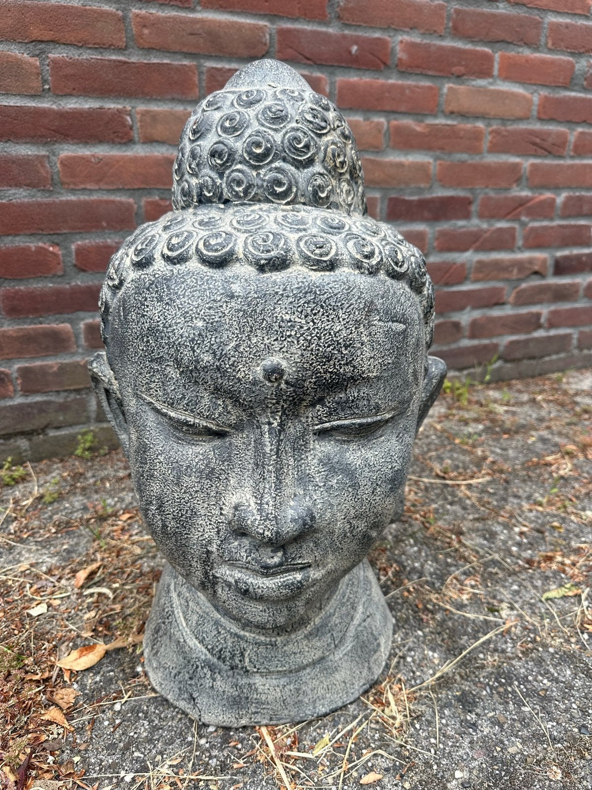 Boeddha Hoofd Steen/Keramiek - Grijs, Ophalen, Gebruikt, Steen/keramiek, Grijs