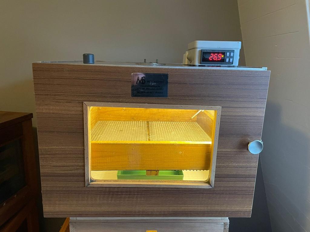 MS Broedmachine, Dieren en Toebehoren, Pluimvee | Toebehoren, Ophalen, Zo goed als nieuw, Broedmachine