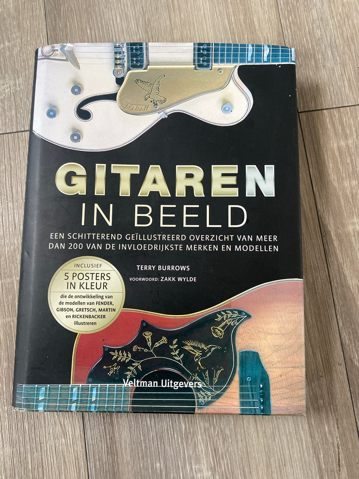 Gitaarboek: Gitaren in Beeld - Terry Burrows, Ophalen of Verzenden, Zo goed als nieuw, Instrument