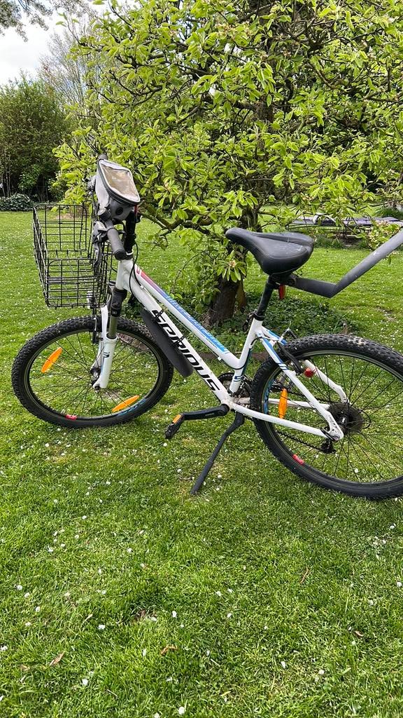 Mountainbike in goede staat, Fietsen en Brommers, Fietsen | Dames | Sportfietsen en Toerfietsen, Minder dan 10 versnellingen, Gebruikt