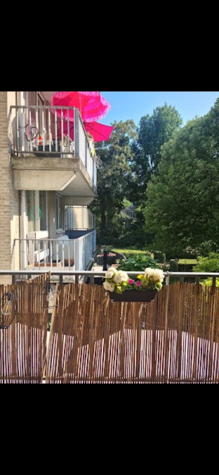 Tuinscherm/ Garden screen  20€ originally 80€, Ophalen, Gebruikt, Hout