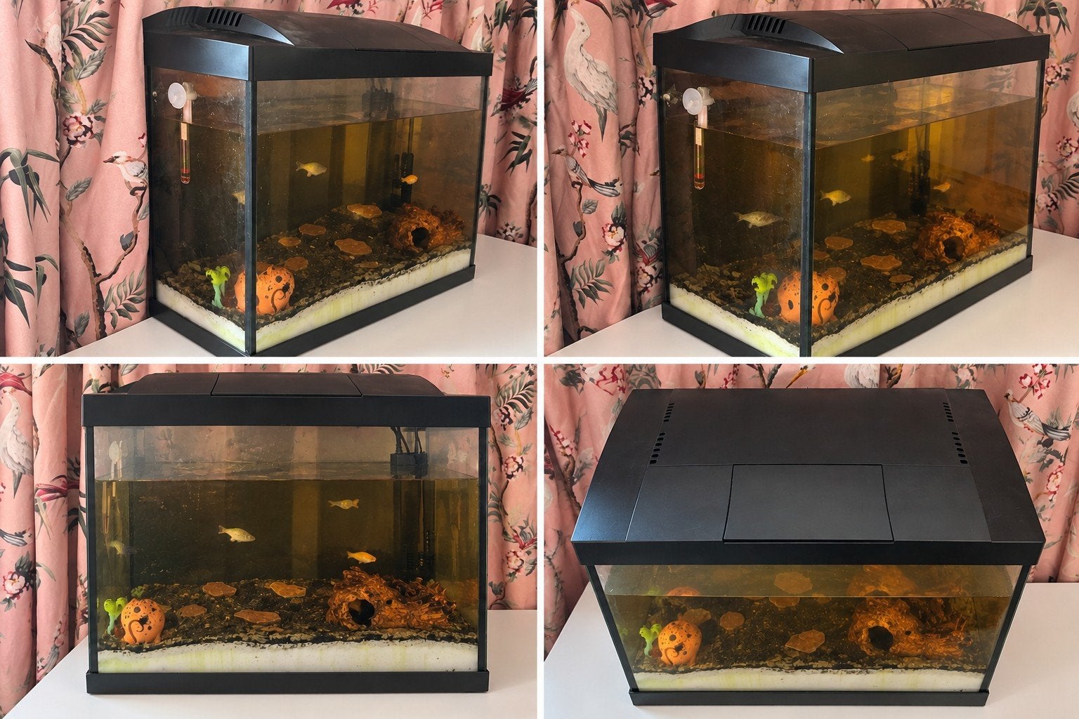 30 liter aquarium met vissen, Ophalen, Zo goed als nieuw, Filter