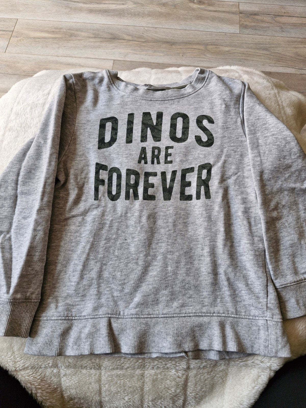 Grijze dinos are forever trui maat 110-116, Trui of Vest, H&M, Onbekend, Ophalen of Verzenden