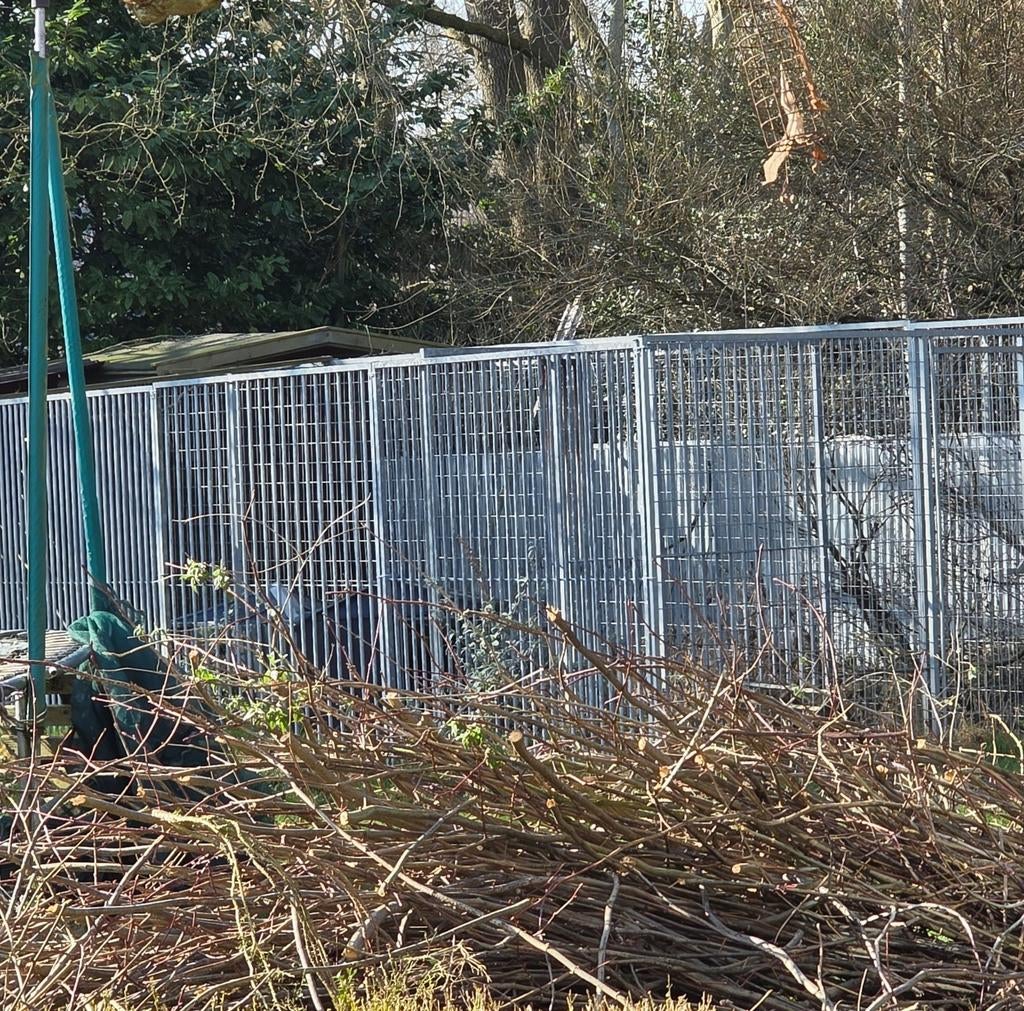 Brandhout veel.takken en struiken gratis zsm ophalen, Tuin en Terras, Haardhout, Minder dan 3 m³, Ophalen
