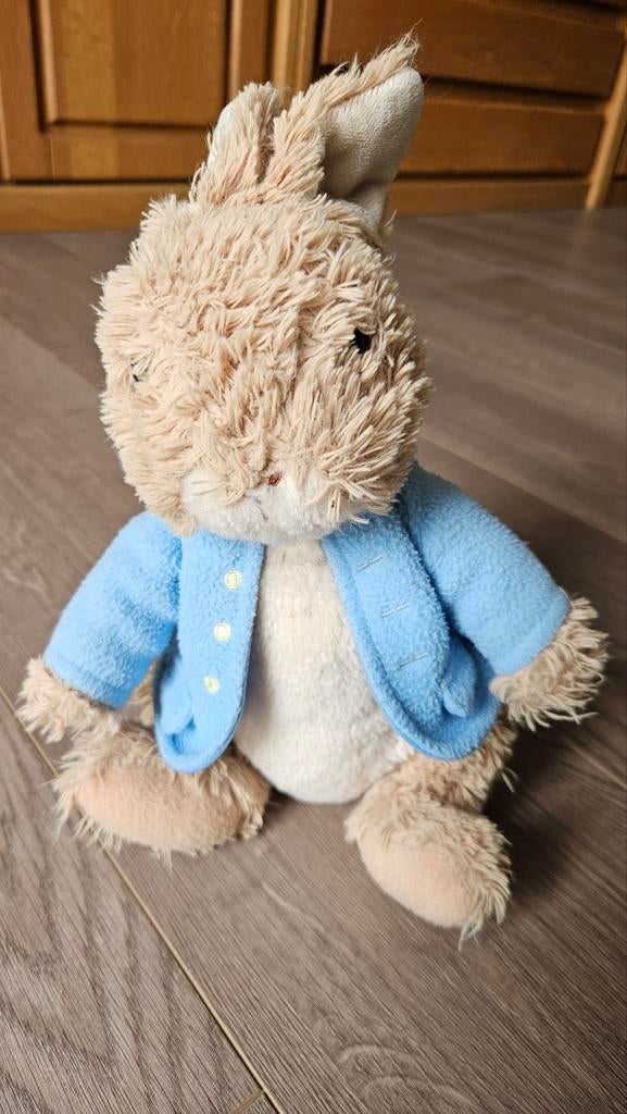 Peter Rabbit knuffel, Ophalen of Verzenden, Zo goed als nieuw, Konijn