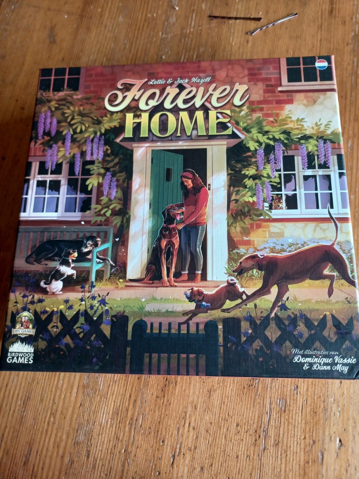 Forever Home - dsv games, Een of twee spelers, Ophalen of Verzenden, Zo goed als nieuw, DSV Games