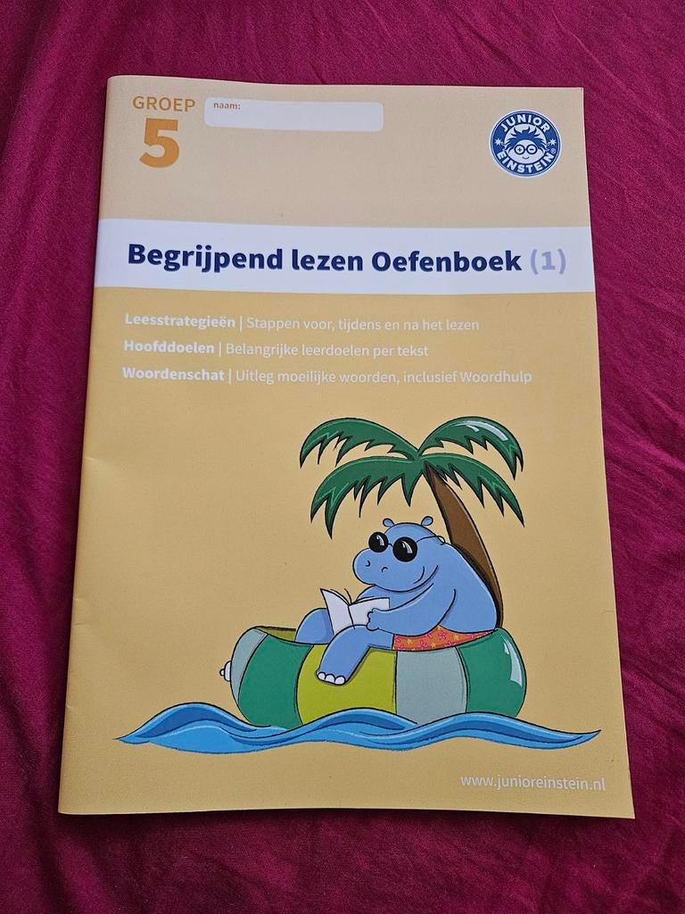 Junior Einstein Begrijpend Lezen Oefenboek Groep 5, Ophalen of Verzenden, Alpha, Zo goed als nieuw, Overige niveaus