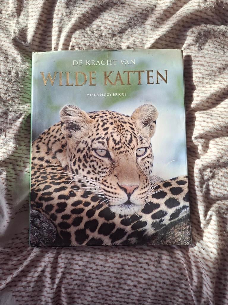 De Kracht van Wilde Katten - Mike & Peggy Briggs, Ophalen of Verzenden, Zo goed als nieuw, Katten, Mike & Peggy Briggs