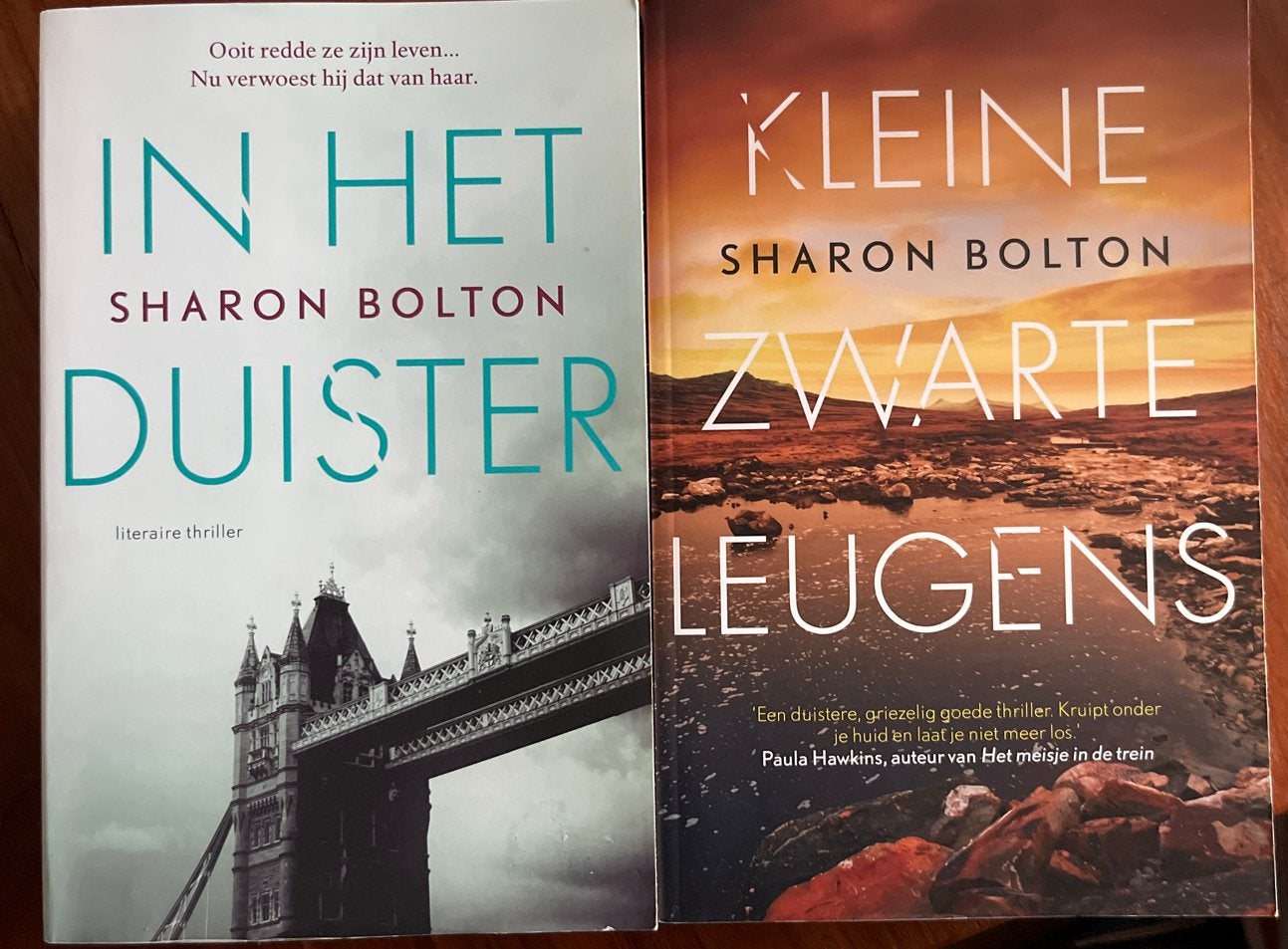 Sharon Bolton, nieuw, In Het Duister & Kleine Zwarte Leugens, Boeken, Thrillers, Ophalen of Verzenden, Nieuw, Nederland